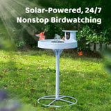 Birdfy Smart Bird Bath with Camera, Solar Powered, Dual-Lens 2K AI Camera