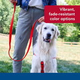Coastal Pet Double-Ply Dog Leash - Bolt Snap Attachment to Collars and Harnesses - Nylon Dog Walking Leash for Small, Medium and Large Dogs - Red - 1" x 4'