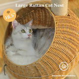 PAWZ Road Modern Cat Tree 46” Cat Dinosaur Tower with Scratching Post, Large Rattan Cats House in 18” Diameter, Wicker Cats Bed with Removable Mat
