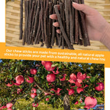 QHZHANG 600g Apple Sticks Small Animals Wooden Pet Chew Treats Toys for Guinea Pigs Hamsters Rabbits Chinchillas Squirrels Small Animal Molar Wood Treats Toys