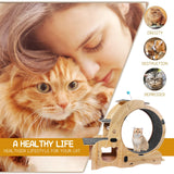 55" Large Cat Wheel for Indoor Cats, 6-in-1 Multifunctional Cat Treadmill with Cat Bed, Scratching Board, Detachable Mat, Climbing Frame & Toys, Ideal for Running, Walking & Daily Training