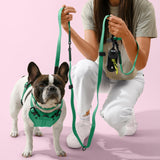 THE LICKER Store WLK1005K-5SET Luna Medium 8FT Adjustable 6-in-1 Waterproof Hands-Free Leash and Collar with LED Flashlight, Bag Dispenser, and Poop Bag Holder, Julep