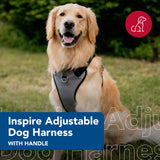 Coastal - Inspire Enhanced Core - Dog Harness, Green, 5/8" x 16"-24"