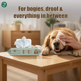 ECO SOUL Pet Cleaning Wipes, (2 Pack, 100 Count Each, Unscented)