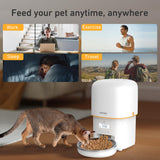 Automatic Cat Feeder, 3L Cat Food Dispenser with Anti-Jam Design, Over 180-day Battery Life, 1-6 Meals Per Day with Stainless Steel Cat Bowl, Keep Dry Food Fresh, Timed Pet Feeder Also for Small Dog