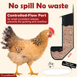 CluckRoots Chicken Grit and Oyster Shell Feeder Combo, No-Spill Weatherproof Heavy-Duty Design, Lift-Off Wall-Mounted Metal Dispenser w/View Window, Chicken Coop Accessories Gifts for Lovers Women