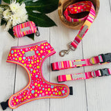 Lucky Love Dog Bundle - Small No Pull Dog Harness & Adjustable Collar, in Stylish Molly Pattern, Durable & Comfortable for Pet Dogs, Suitable for Puppies & Adult Dogs