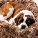 Pelsbarn Luxurious Orthopedic Dog Bed, Memory Foam, Brown, XL