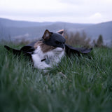 Black Bat Cat Costume with Cloak, Funny Bat Mask and Cat Cloak , Cat Outfit and Hoodie for Cosplay, Halloween, Cat Clothes and Accessories for Indoor Cats, Bat Cat Mask and Apparel, Superhero Easter Pet Costume (Big - Middle)