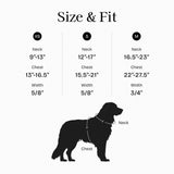 Fei & Eve Moxie H-Shape Dog Harness | Ultra-Lightweight | 3-Leash System for No-Pull Control | Easy On-Off | Adjustable 210D Breathable Nylon | Soft Padded Lining, Dusk Blue, S