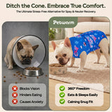 PetWarm Dog Bodysuit, Recovery Suit for Dogs, Underwater World, Blue, XS