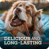 Redbarn Pet Products Straight 5" Bully Sticks - Long Lasting Dog Chew, All Natural Bully Bones (50-Count)