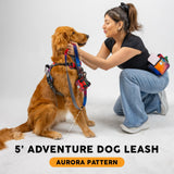 Embark Dog Leash - Heavy Duty Tough Nylon Training Lead for All Dog Breeds