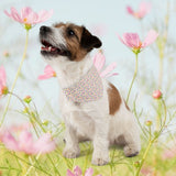 Colorful Paw Print Pet Bandana Collar — Vibrant Dog/Cat Scarf