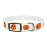 Dog Collar