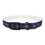 Black and purple star dog collar