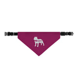 Pet Bandana Collar