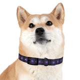 Black and purple star dog collar