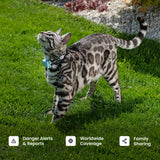 Tractive Smart Cat GPS Tracker | Real-Time Location & Wellness Monitoring for Cats 6.5 lbs+ | Territory & Location History | Up to 5-Day Battery | Breakaway Collar Included (Mint)