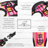 Lucky Love Dog Bundle - Small No Pull Dog Harness & Adjustable Collar, in Stylish Molly Pattern, Durable & Comfortable for Pet Dogs, Suitable for Puppies & Adult Dogs