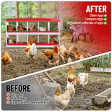 10-Hole Chicken Nesting Box, Rustproof Galvanized Steel Roll-Out Egg Collection with Vented Design, Laying Box for Hens, Poultry Coop Accessories for Egg Layers
