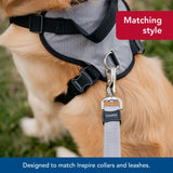 Coastal - Inspire Enhanced Core - Dog Harness, Green, 5/8" x 16"-24"