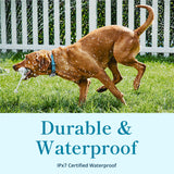 Petivity Smart GPS and Activity Pet Tracker for Dogs Powered by Purina, Waterproof Real Time Tracking GPS Dog Collar, Downloadable App, Subscription Required
