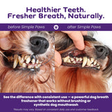Dog Dental Powder for Teeth Cleaning - Dental Powder for Dogs Teeth