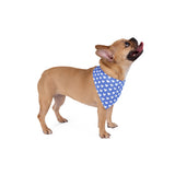 Pet Bandana heart design