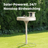 Birdfy Smart Bird Bath with Camera, Solar Powered & Fountain, 2K AI Camera