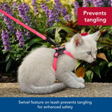 Coastal - Li’l Pals Adjustable Kitten Harness and Leash Combo - Pink and Purple Daisy Multi-Color - 3/8” x 6"-10”