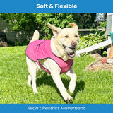 DOGZSTUFF Dog Cooling Vest. Lightweight Jacket with Evaporative Cool Microfiber Technology, UV Protection Shirt for Beach, Sizing for Small, Medium and Large Dogs (L, Dark Blue)
