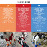 PawZ Rubber Dog Boots for Medium Paws - All-Weather Waterproof Dog Shoes, Anti-Slip Traction for Rain, Snow, Mud & Hot Pavement - Pull-On Dog Booties, Blue - Medium (2.5" - 3") - Pack of 24