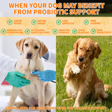 Probiotics for Dogs - 6 Digestive Probiotics & 6 Enzymes for Itchy Skin,Digestion & Gut Support,Helps Diarrhea, Yeast Infection, Upset Stomach,Allergies & Immune System Support-150 Chews