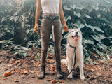 Tuff Pupper Heavy Duty Hands Free Dog Leash | One Large Dog Up to 125 lbs | Comfortable Shock Absorbing Bungee | Reflective Padded Handles | Lumbar Waist Belt 26-38" | Walking Jogging Running Leash