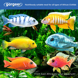 Gargeer 3oz African Cichlid Fish Food for Advanced Breeders. Complete African Cichlid Gel Diet for Both Juveniles & Adults. Made in The USA Using Premium Ingredients, Wild Nutrition Gourmet Formula