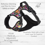 Lucky Love Dog, Bundle of Matching Harness Plus Leash for Easy Walk Training Comfort- Blackbird, Large