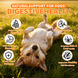Probiotics for Dogs - 6 Digestive Probiotics & 6 Enzymes for Itchy Skin,Digestion & Gut Support,Helps Diarrhea, Yeast Infection, Upset Stomach,Allergies & Immune System Support-150 Chews