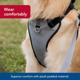 Coastal - Inspire Enhanced Core - Dog Harness, Green, 5/8" x 16"-24"