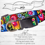 Lucky Love Dog Leash & Wide Collar Set, Beautiful Vivid Patterns, Durable for Larger Dogs, Heads, & Necks (Blackbird, Extra Large)