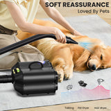 Flying Pig Double Motor High Performance Dog Pet Grooming Dryer (Black)