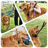 PetBonus Heavy Duty Short Dog Leash, 12" Nylon Lead with Quick Release Clip