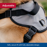 Coastal - Inspire Enhanced Core - Dog Harness, Green, 5/8" x 16"-24"