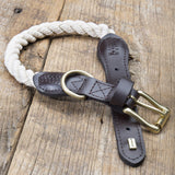 Embark Pets Country Dog Rope Collar - Braided Cotton and Rolled Leather Dog Collar for Small Dogs - Durable Dog Collars for Small Dogs and Strong Build for Training, Walking, Running (Small, White)