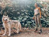Tuff Pupper Heavy Duty Hands Free Dog Leash | One Large Dog Up to 125 lbs | Comfortable Shock Absorbing Bungee | Reflective Padded Handles | Lumbar Waist Belt 26-38" | Walking Jogging Running Leash