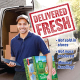 Small Pet Select 2nd Cutting Perfect Blend Timothy Hay Pet Food for Rabbits, Guinea Pigs, Chinchillas and Other Small Animals, Premium Natural Hay Grown in The US, 20 LB