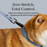 Fei & Eve Waterproof Dog Leash - 6FT, Odor-Free PVC Material, Easy to Clean, 360° Swivel Hook, Suitable for Small, Medium & Large Dogs, Dusk Blue