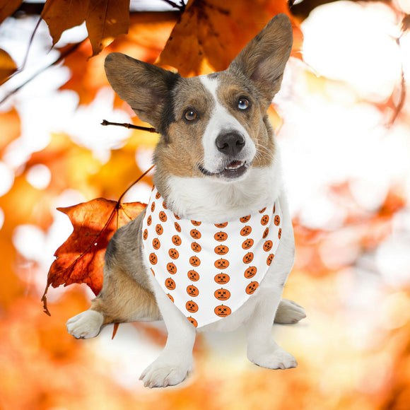 Halloween pumkin pet collar and bandana