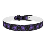 Black and purple star dog collar