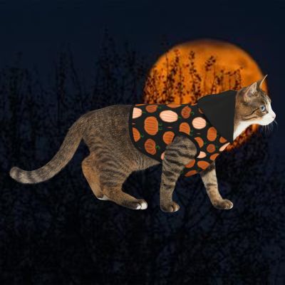 Halloween cat hoodie